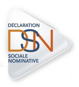logo dsn Déclaration Sociale Nominative