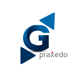 Logo Connecteur Praxedo