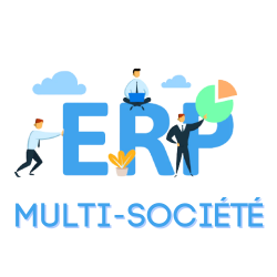 ERP Multi Société