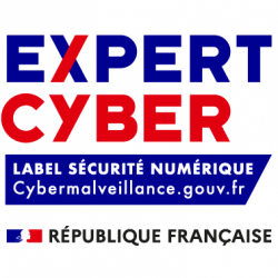 Logo Expert Cyber