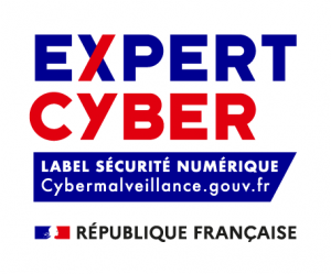 Logo Expert Cyber
